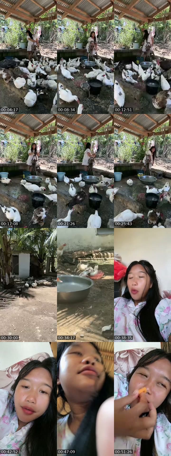 @jonnarosetaguiam TikTok live stream