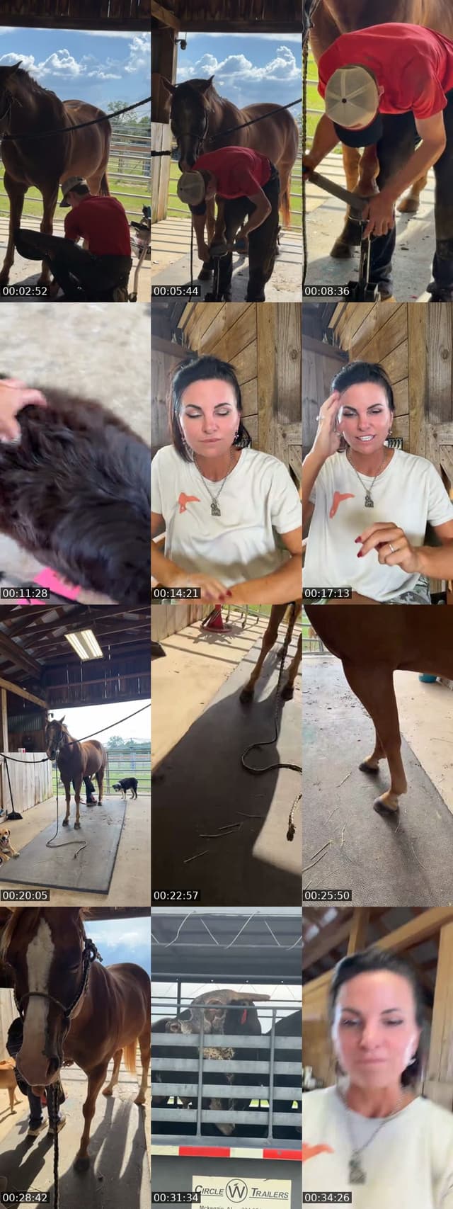 TikTok live: Horse Pedi Time by @stephonthemorningride