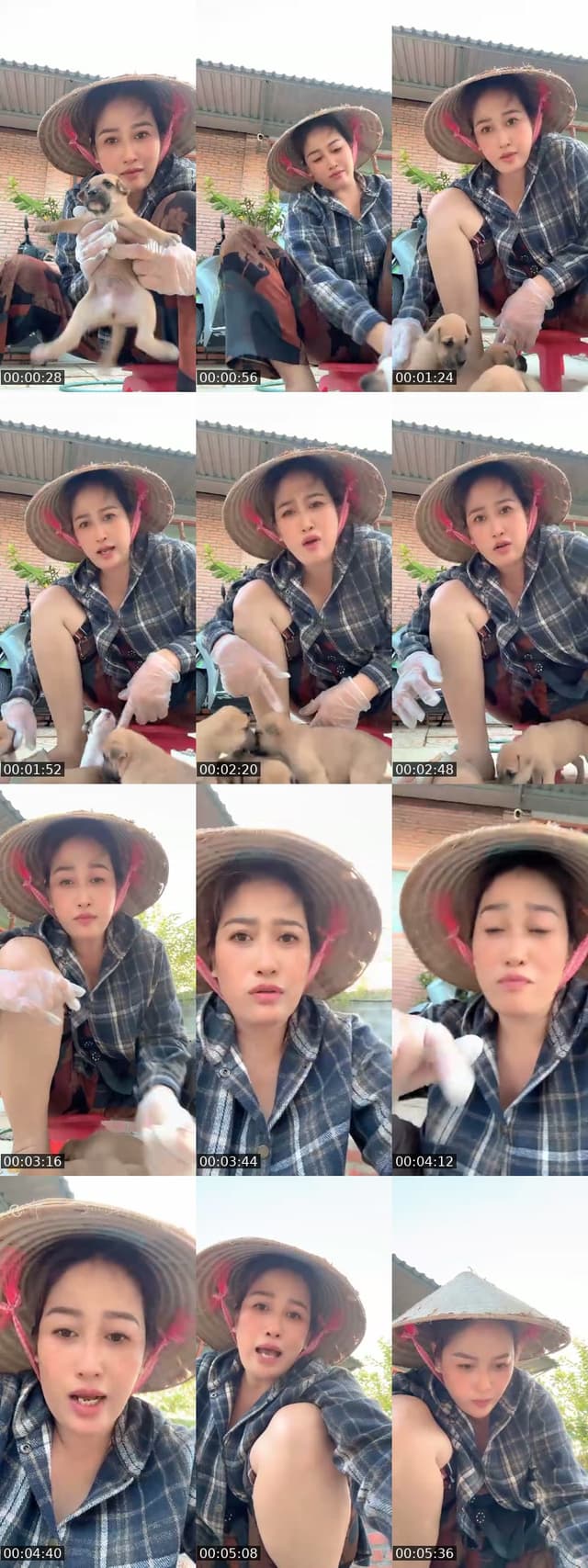 @thanhnguyet789 TikTok live