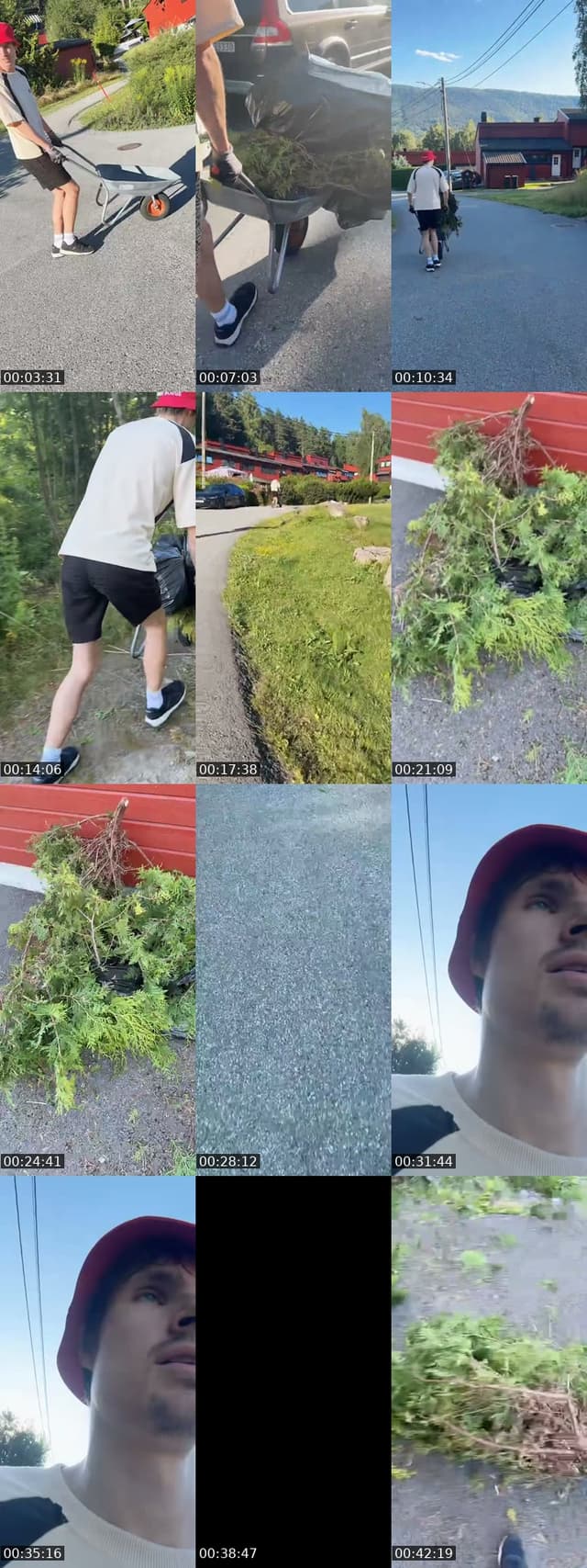 TikTok live: Jossi hjelper til i hagen ! by @josteinsorum