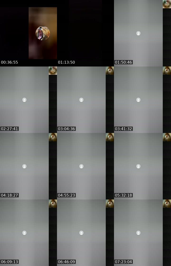 @karupaoikr7 TikTok live stream