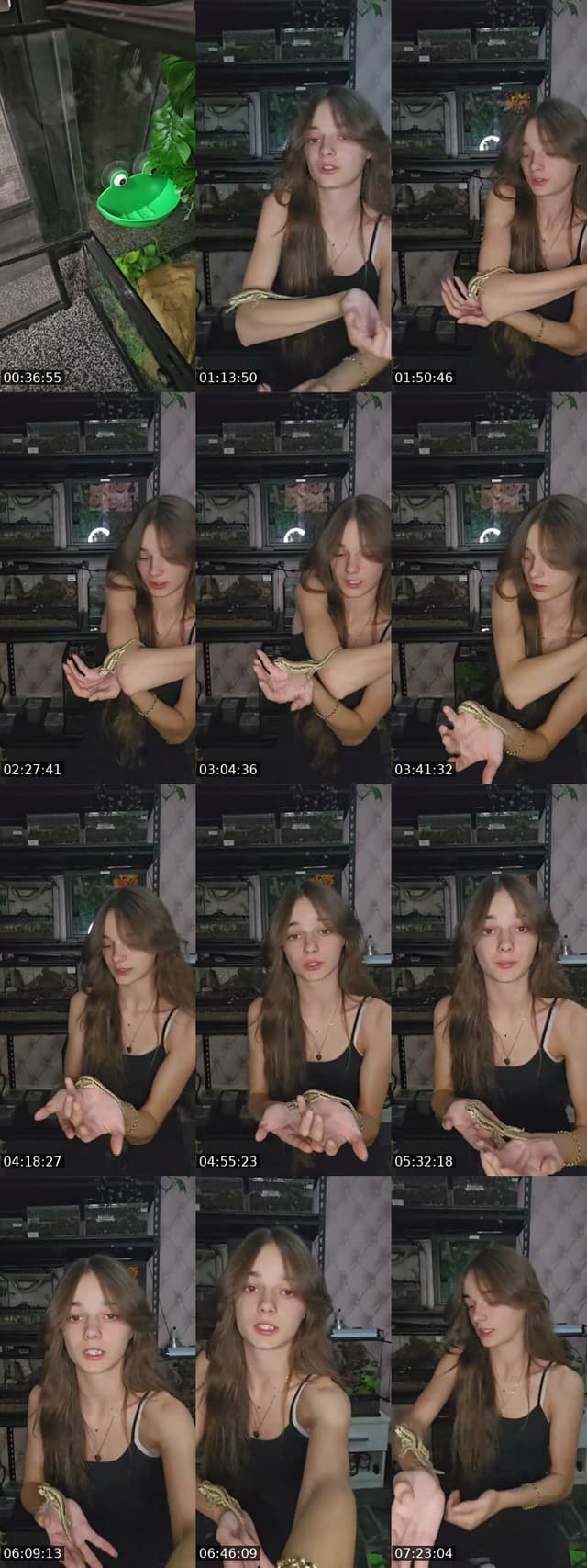 TikTok live: WARNING EXOTIC PETS-(I'm 19) by @skys.animal.zoo
