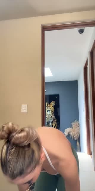 @aleebebeee TikTok live
