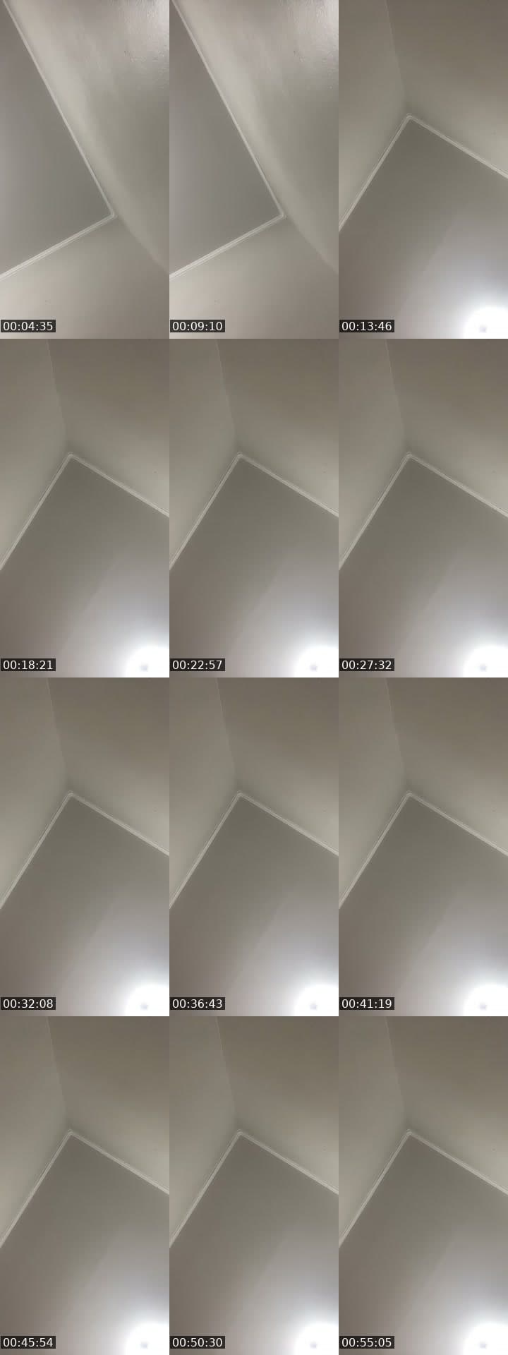 @elisandra218 TikTok live stream