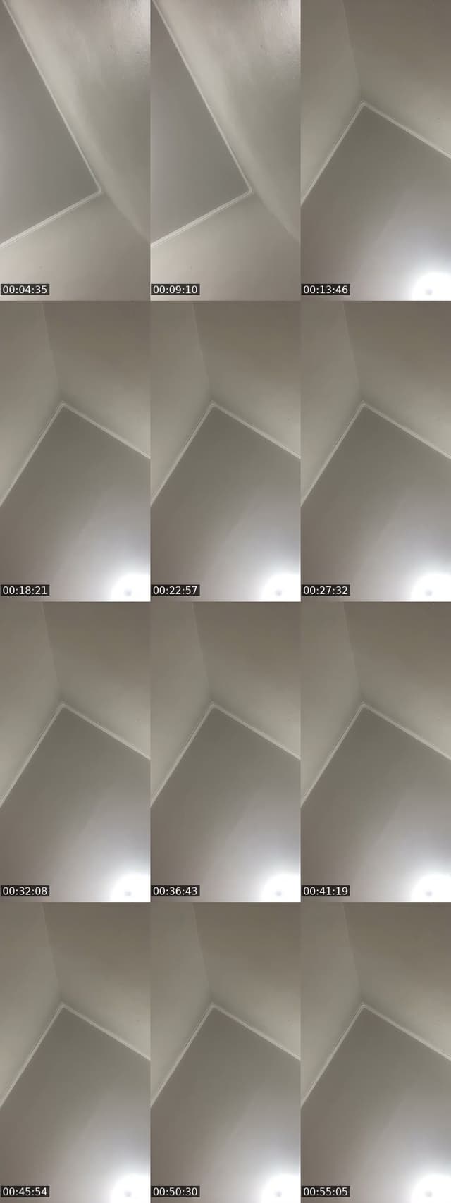@elisandra218 TikTok live