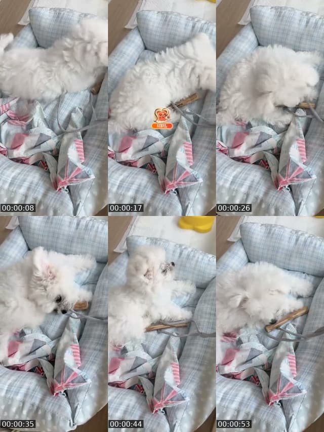 @tyoning_ TikTok live from 2026-07-21