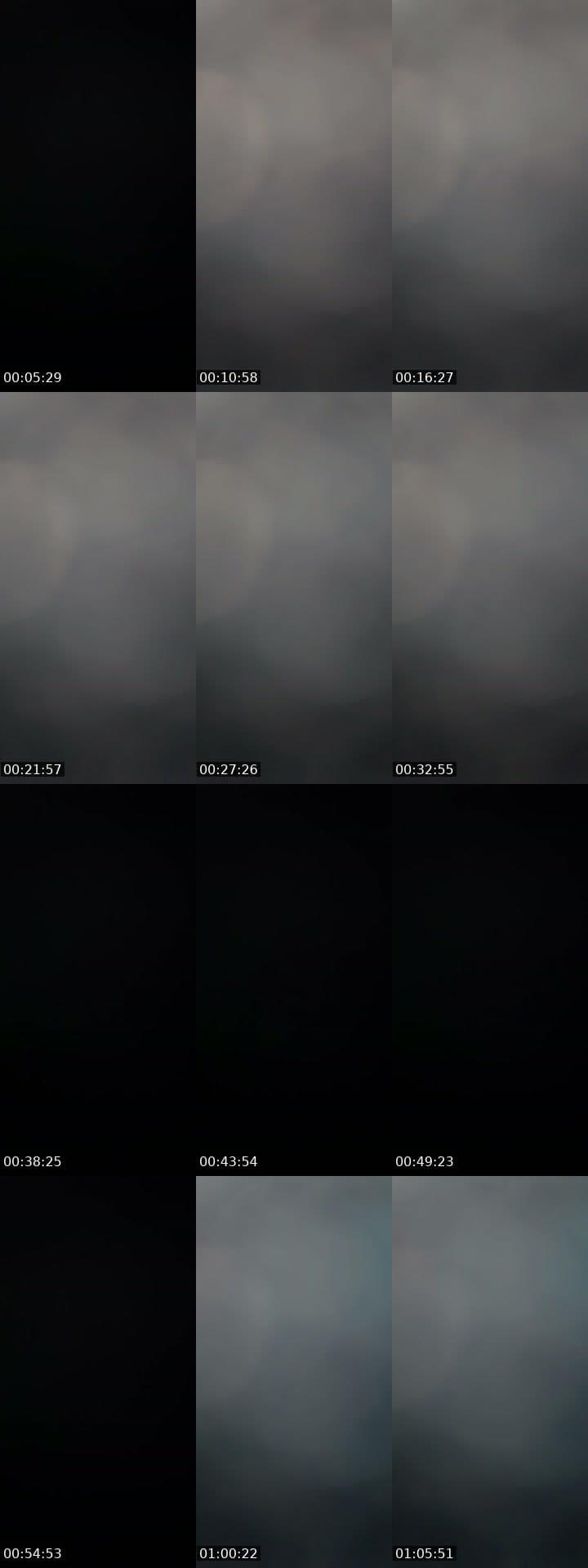 @guachimana TikTok live stream