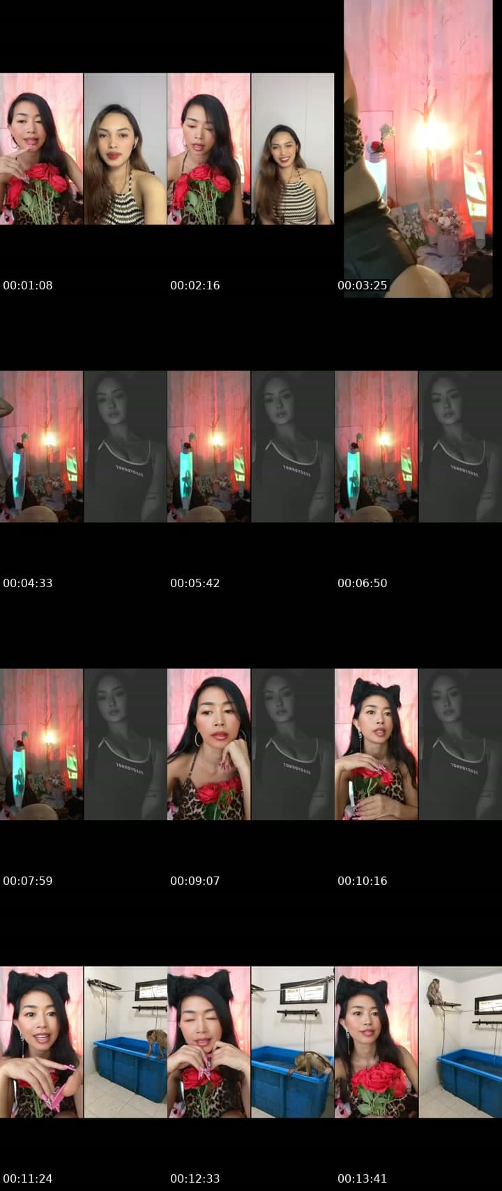 @doro.dance8 TikTok live stream