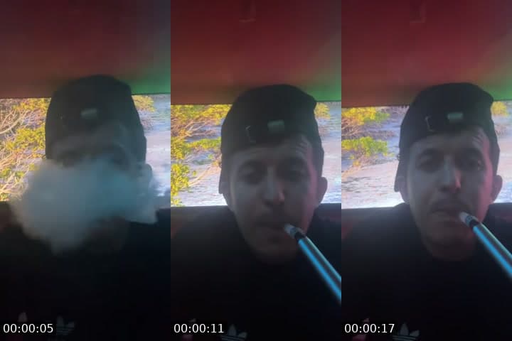 @thealphawolf71 TikTok live stream