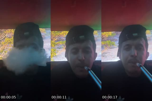 @thealphawolf71 TikTok live