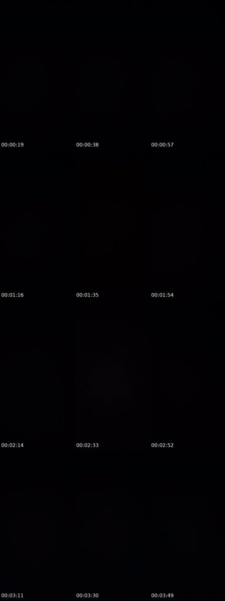 @maddie_.lenada.goatsssss TikTok live stream
