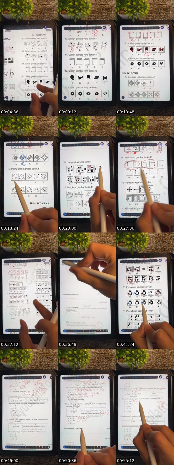 @yudipilato TikTok live stream