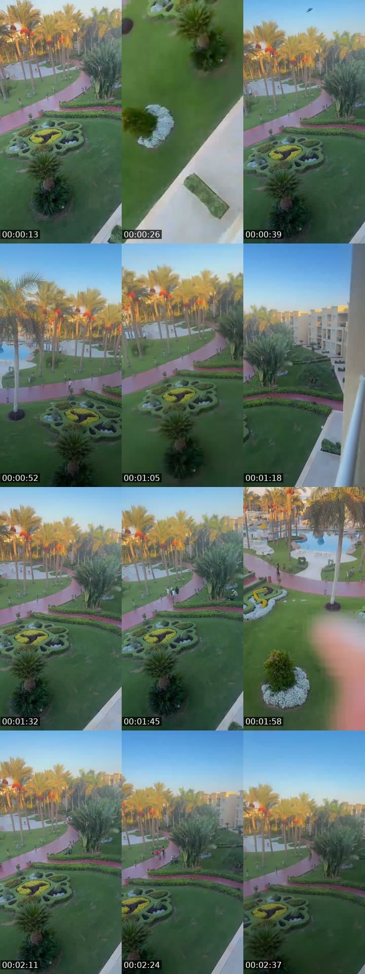 @belma_incke TikTok live stream