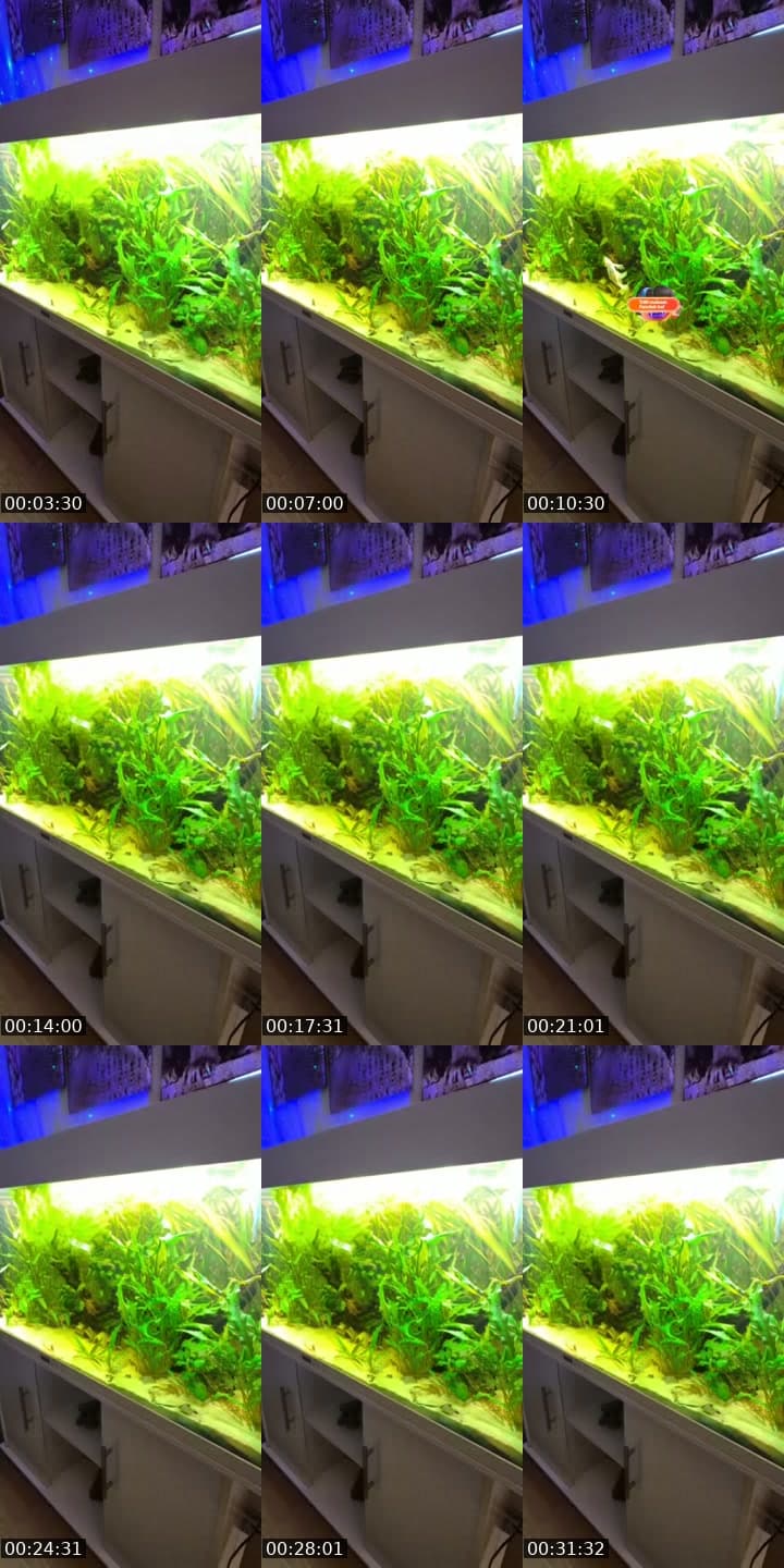 @feelgoodmanager3 TikTok live stream