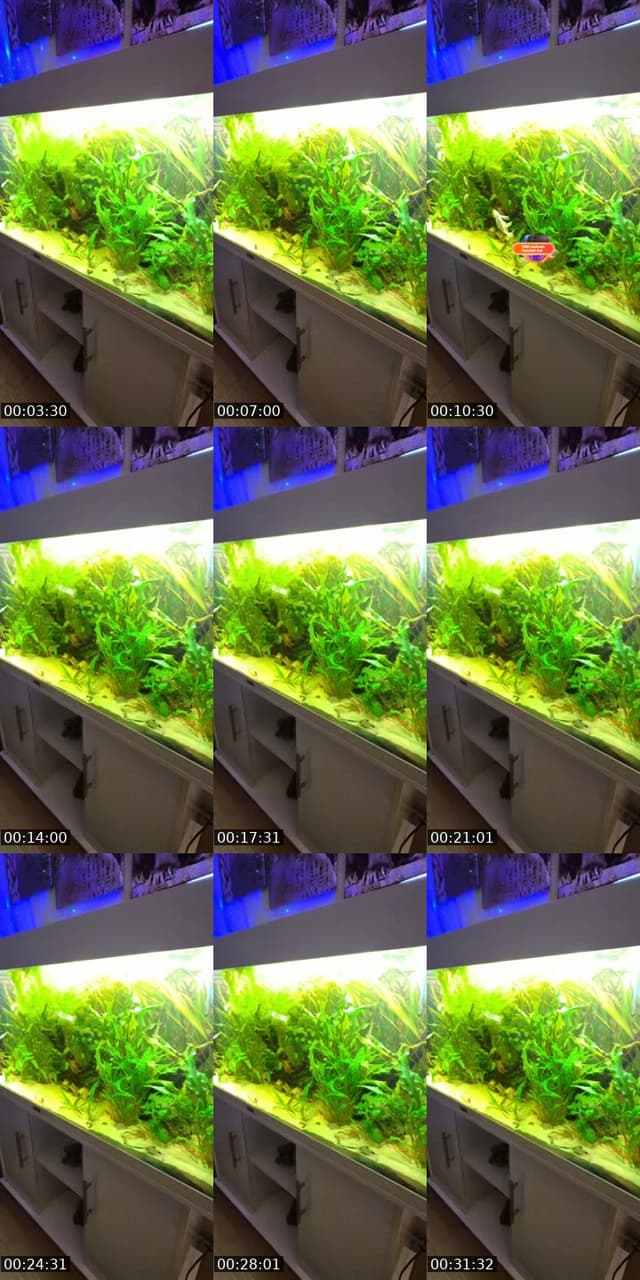 @feelgoodmanager3 TikTok live