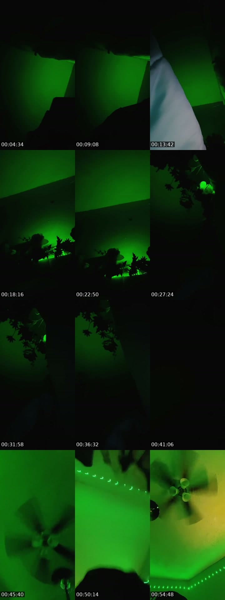 @xoxo_diorrr TikTok live stream