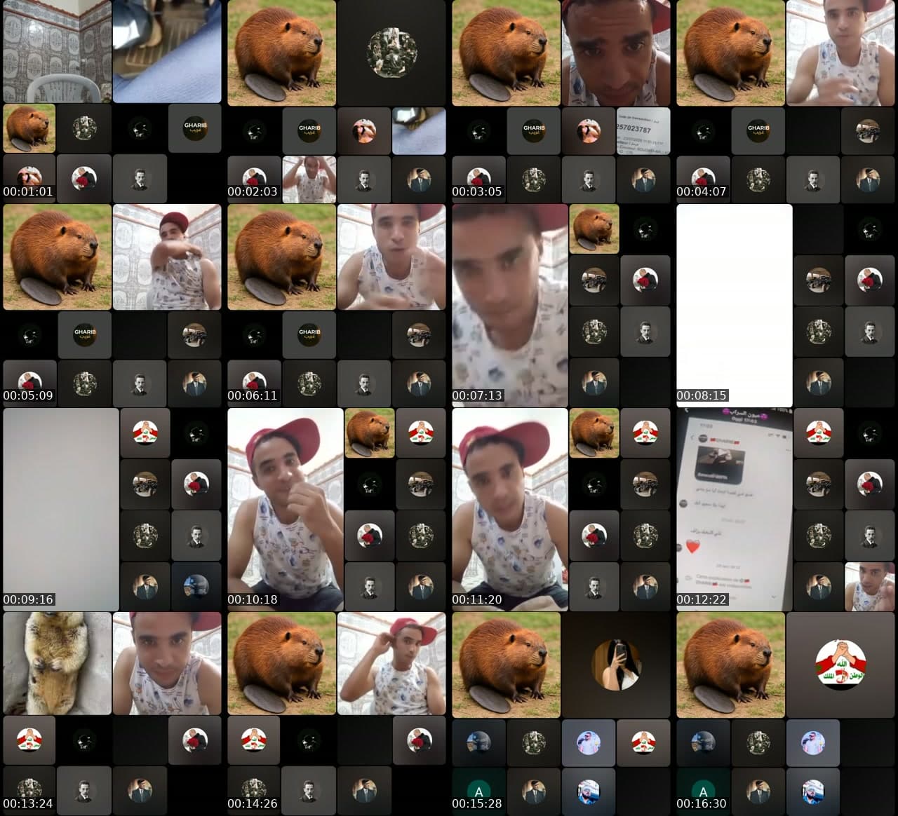 @lmakhfi367 TikTok live stream