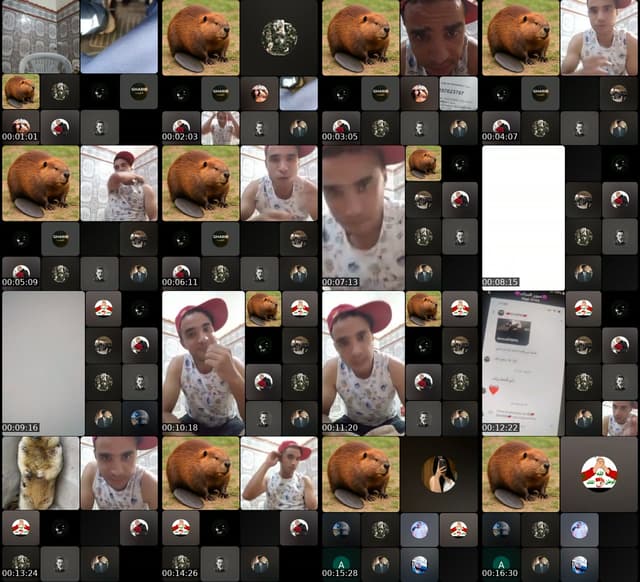 @lmakhfi367 TikTok live from 2026-07-23