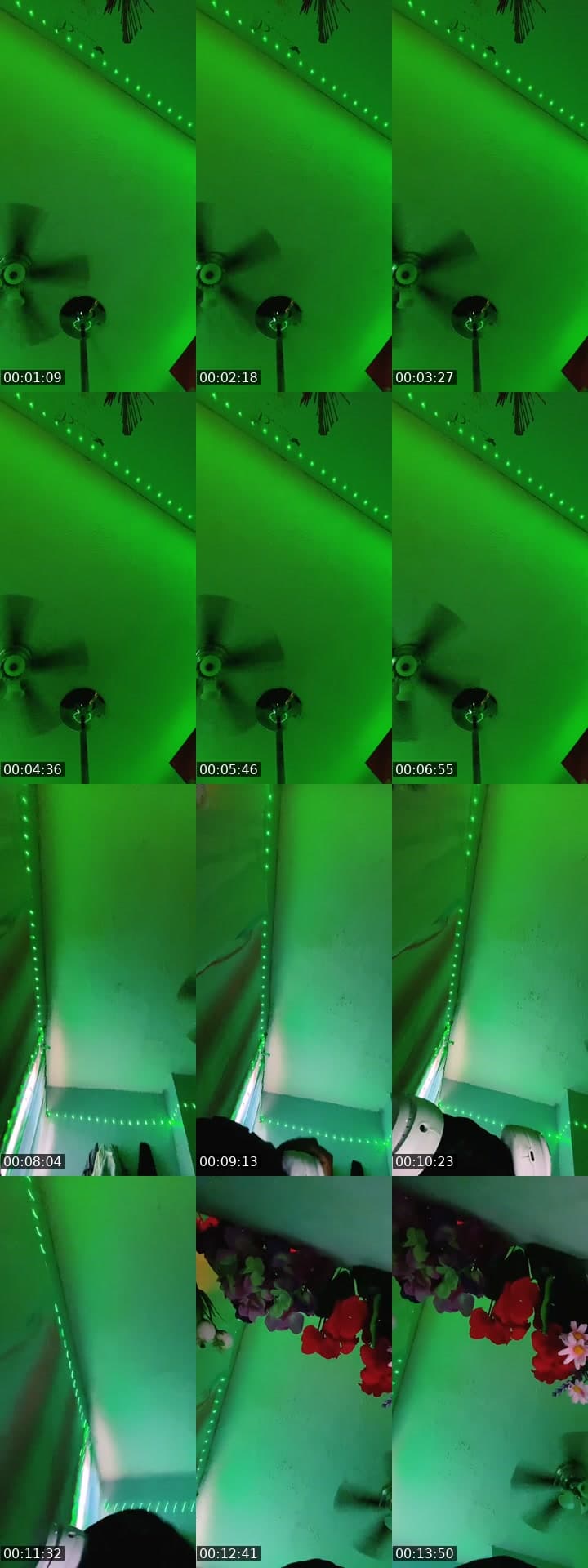 @xoxo_diorrr TikTok live stream