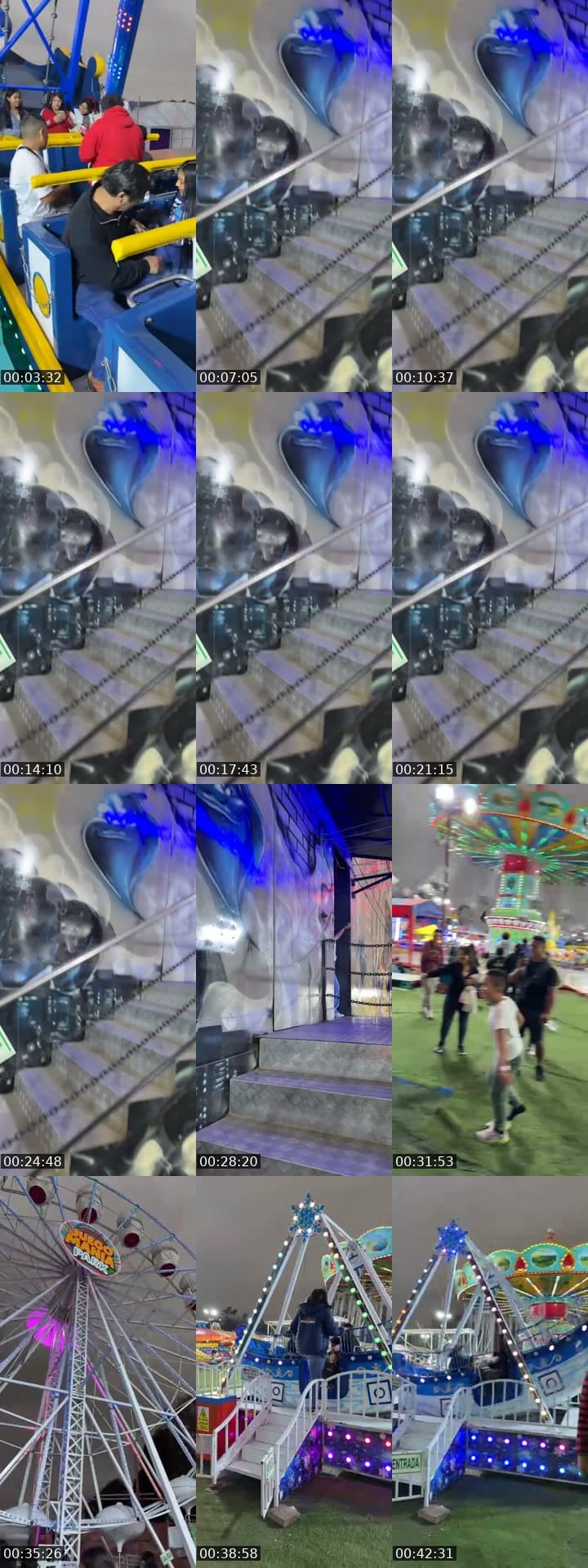 Juego Manía Park