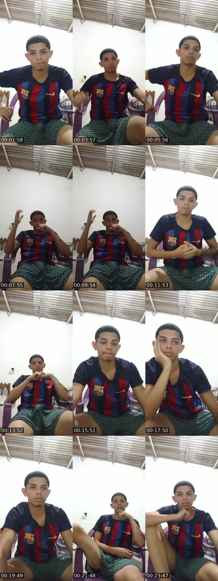 vem animar a tarde rpzd