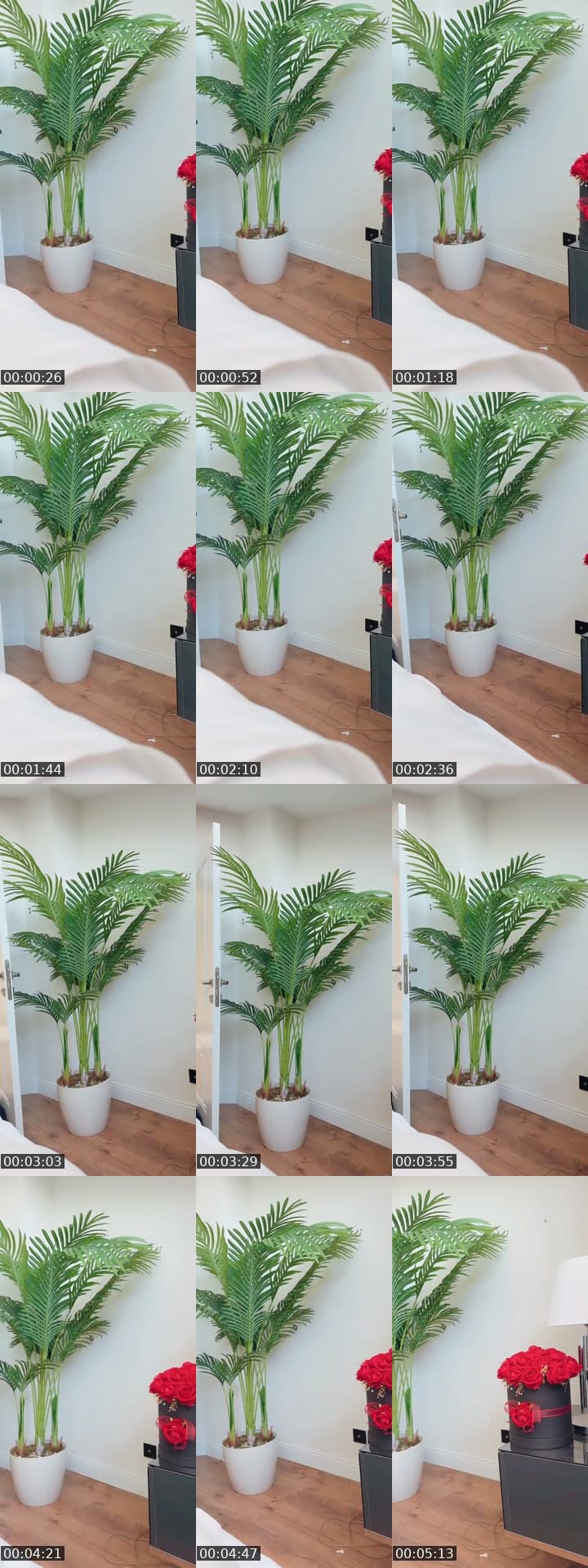 @dilanoztur2 TikTok live stream