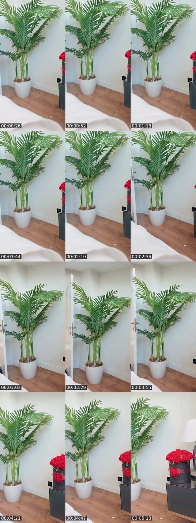 @dilanoztur2 Saudi Arabia TikTok live from 2026-07-01