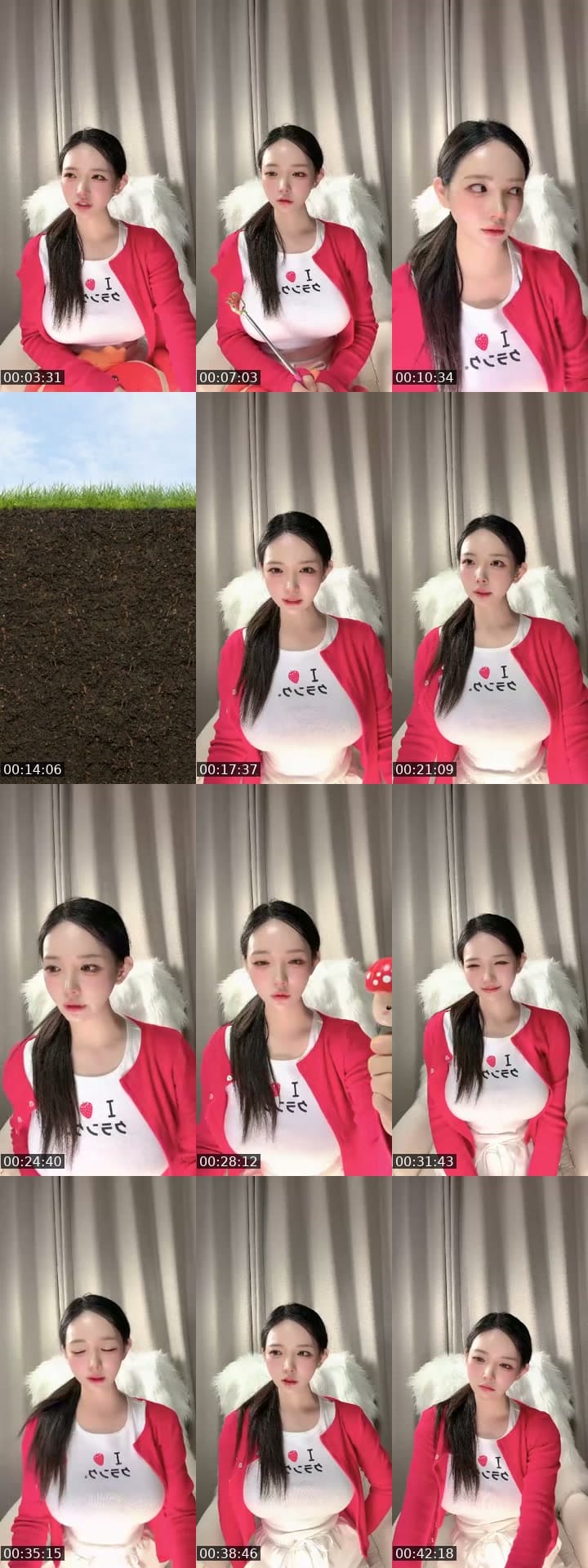 신입 젤리보♥️