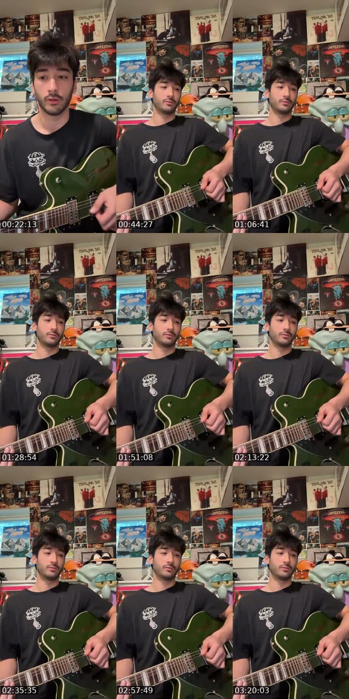 Guitar