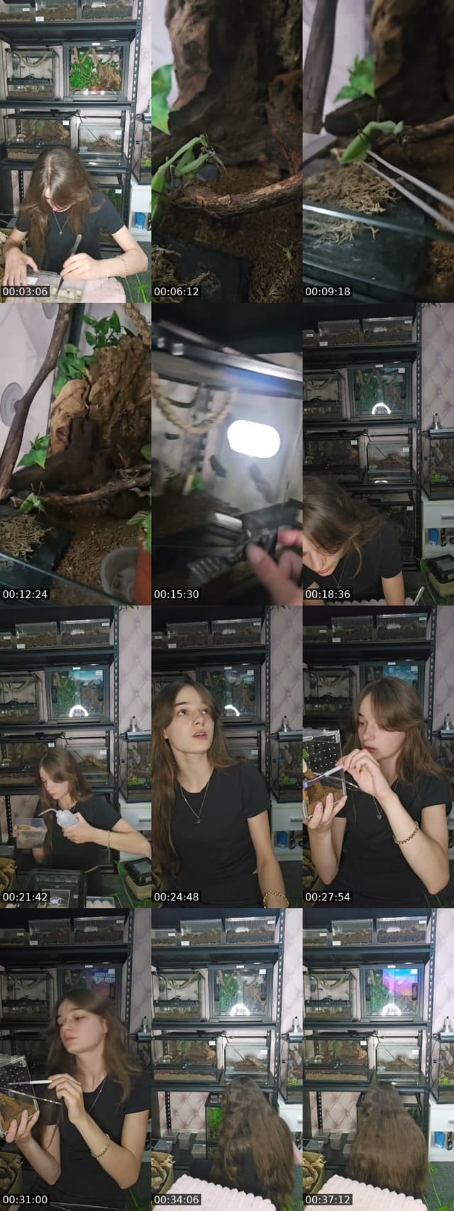 TikTok live: WARNING EXOTIC PETS-(I'm 19) by @skys.animal.zoo