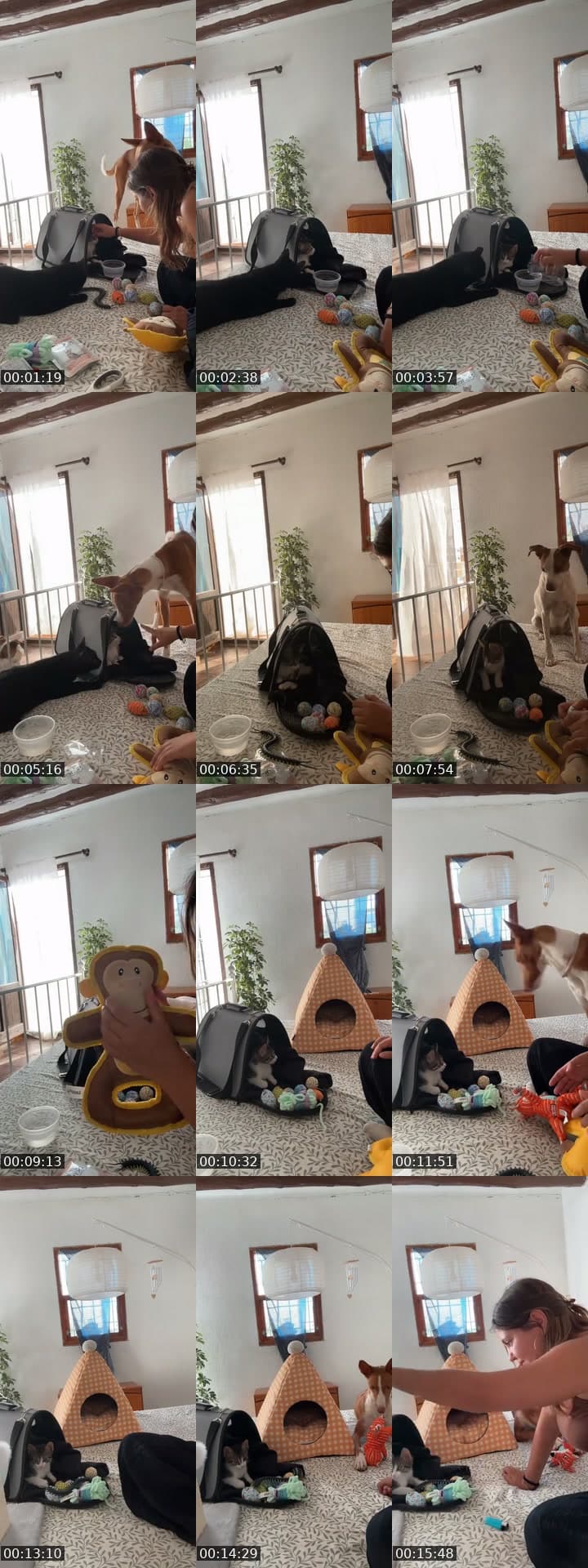 @username10080090 TikTok live stream