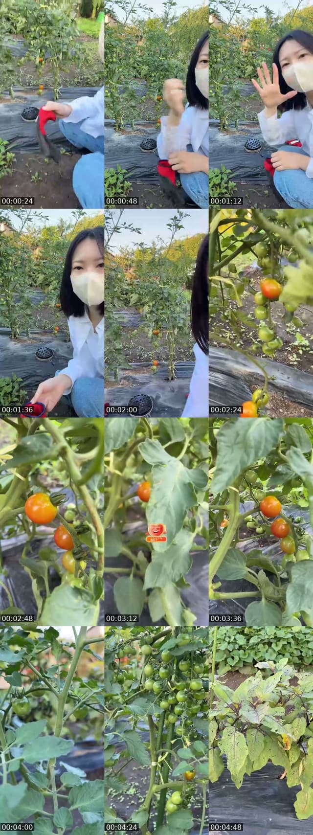 少しだけ🌱 - @iamakaneko