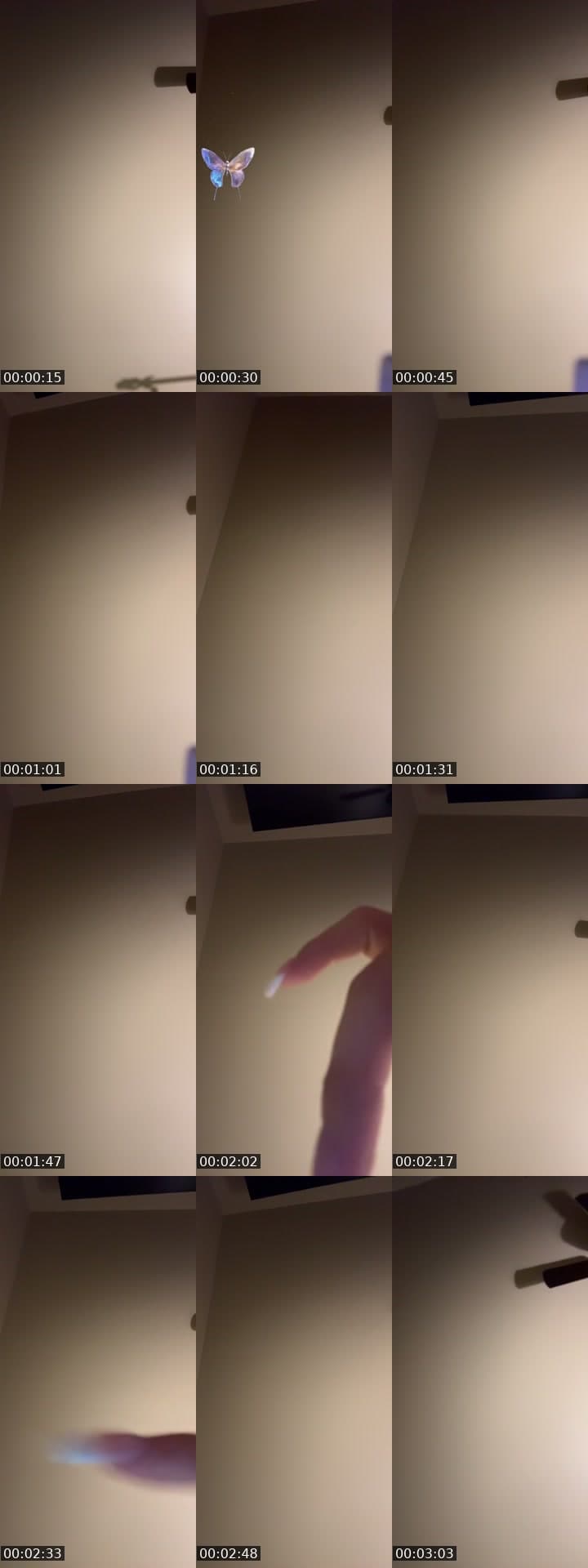 @tyloops7 TikTok live stream