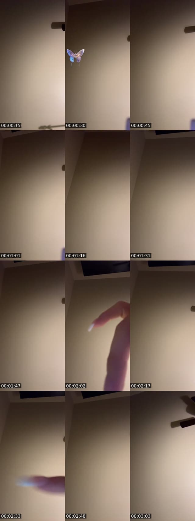 @tyloops7 TikTok live from 2026-07-02