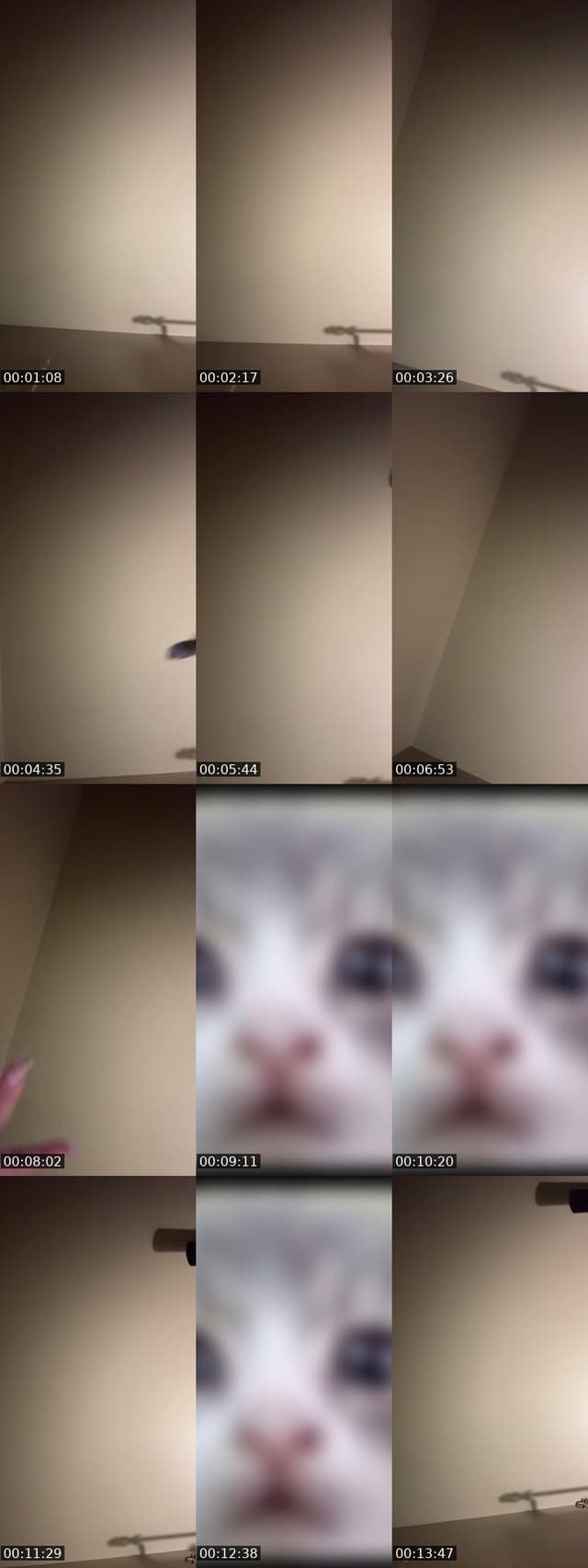 TikTok live: idk tbh by @flowerss_4220