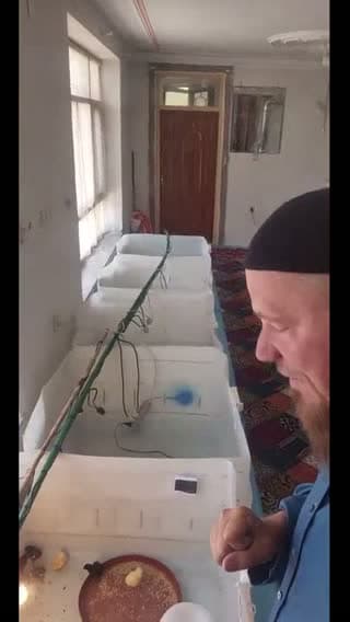 @jeanlouislesoumis TikTok live stream