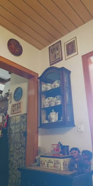 @yuecel.elisabeth TikTok live stream