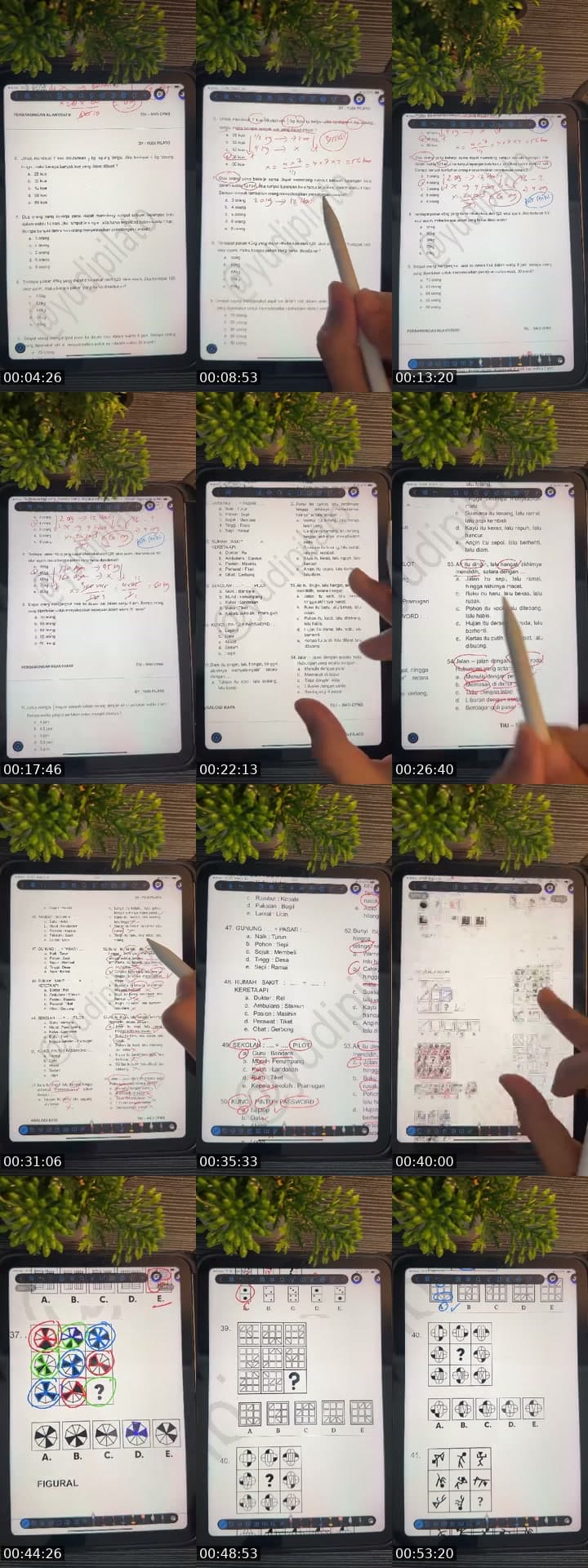 @yudipilato TikTok live stream