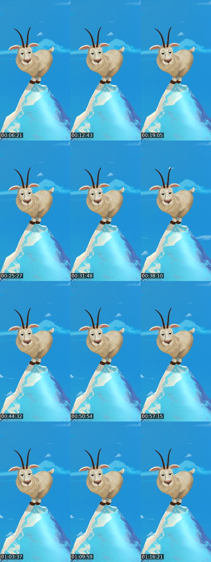 شلبوق وزيدهم شلبوق