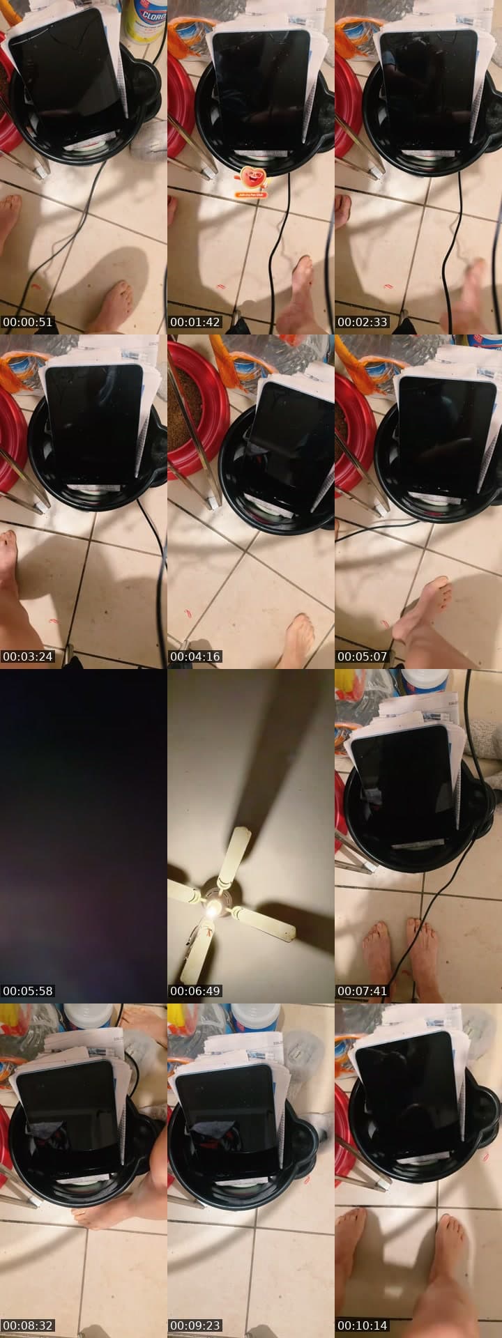 @taramania12 TikTok live stream