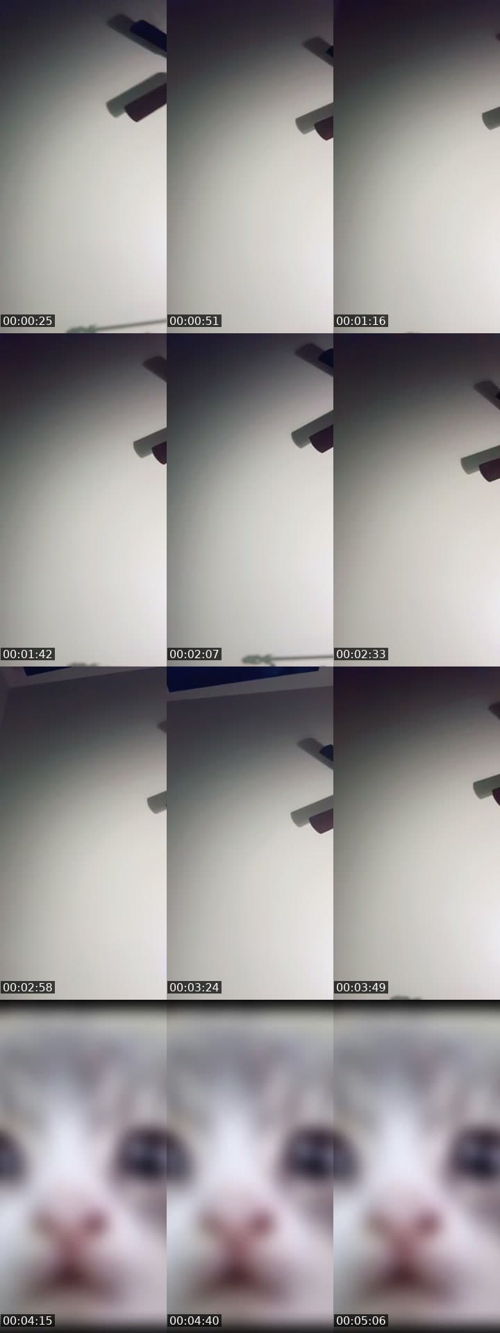@flowerss_4220 TikTok live stream