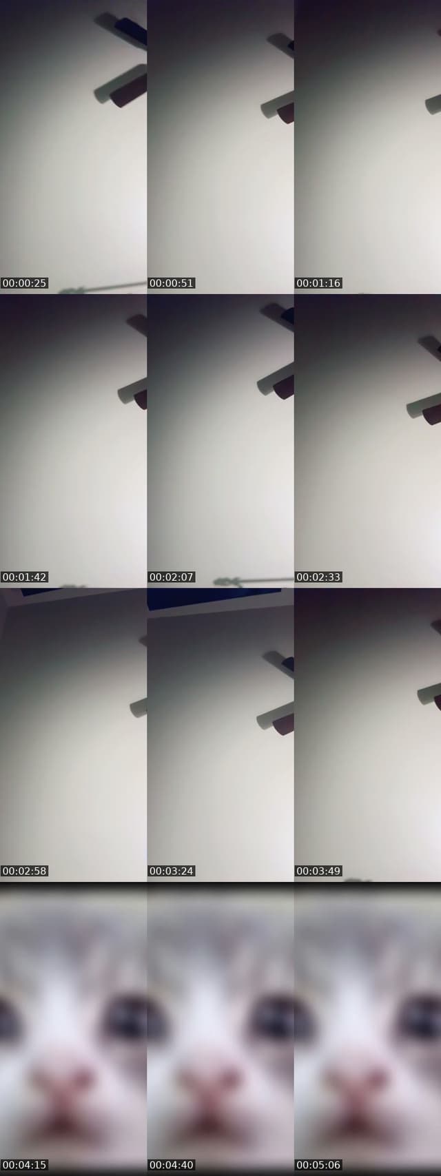 @flowerss_4220 TikTok live from 2026-07-03