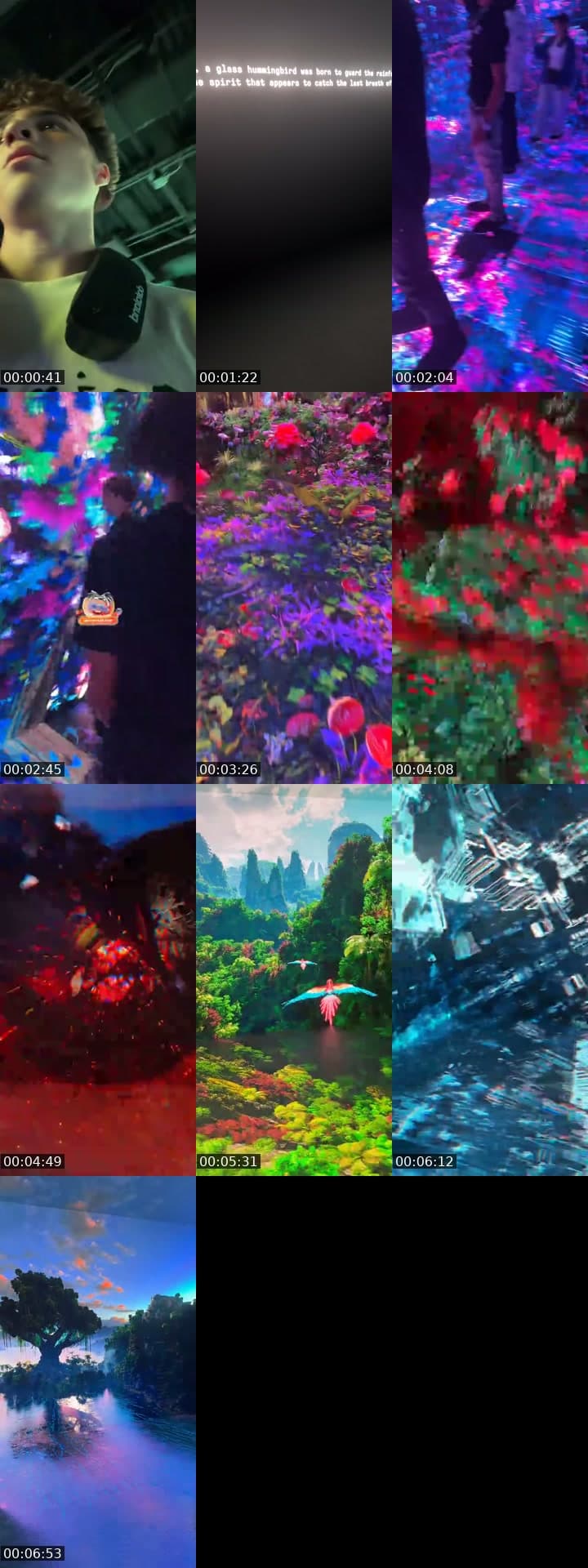 dataland