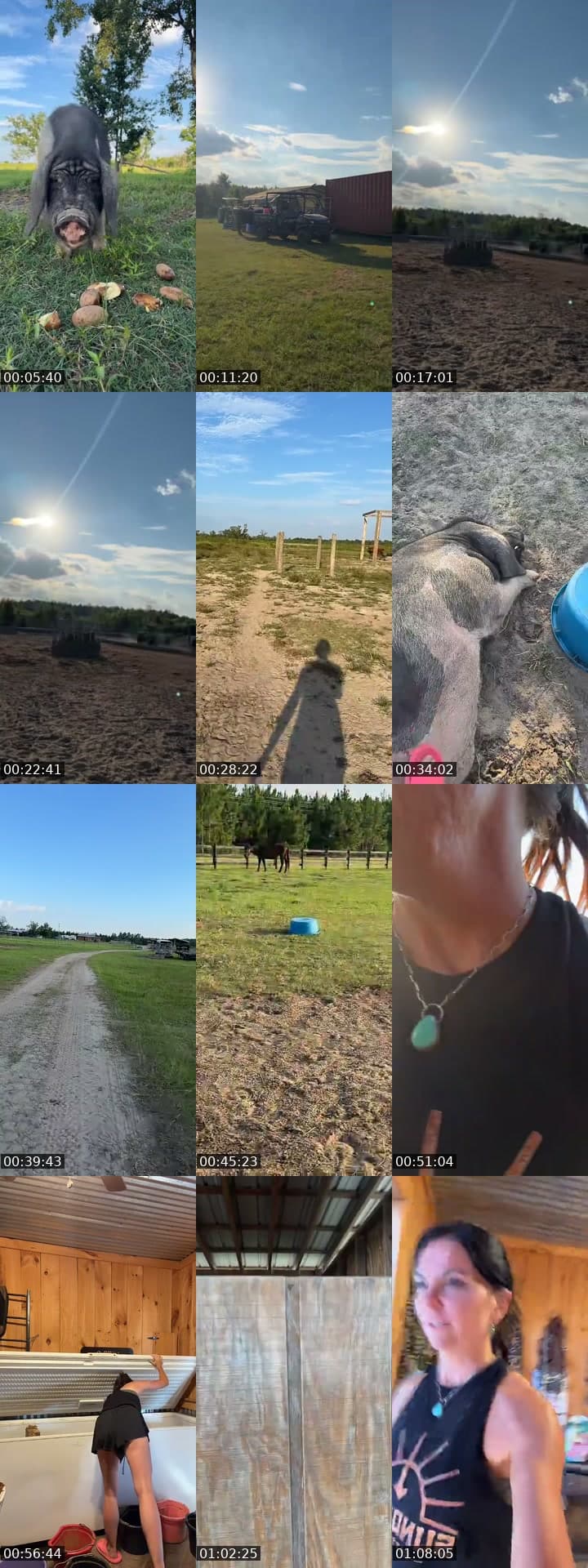 Sundown Cattle Co