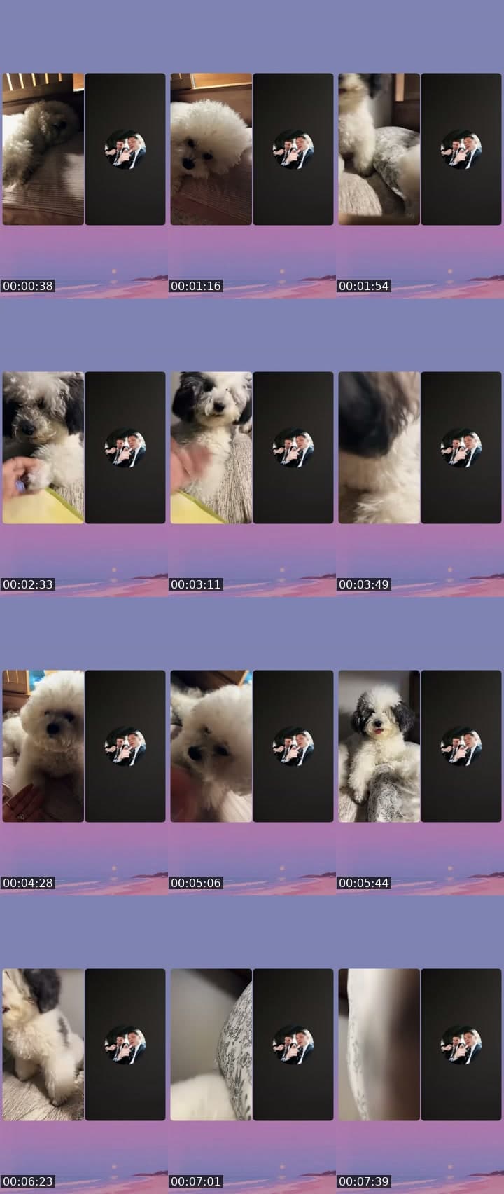 @user9607516127815 TikTok live stream
