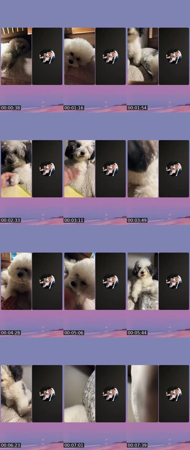 @user9607516127815 TikTok live