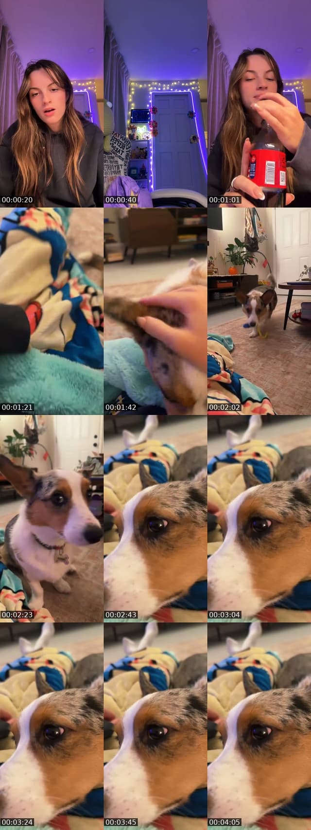 @itsspeightonnn TikTok live