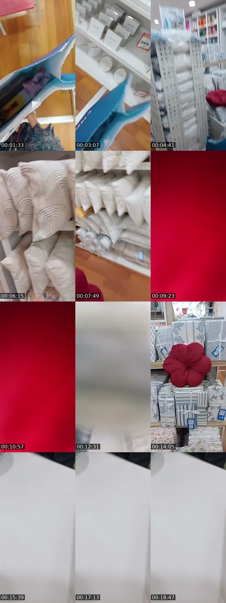 Evde 11 kedim var bu yayın için