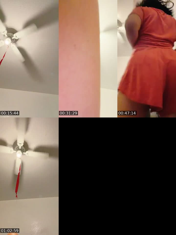 @taramania12 TikTok live stream