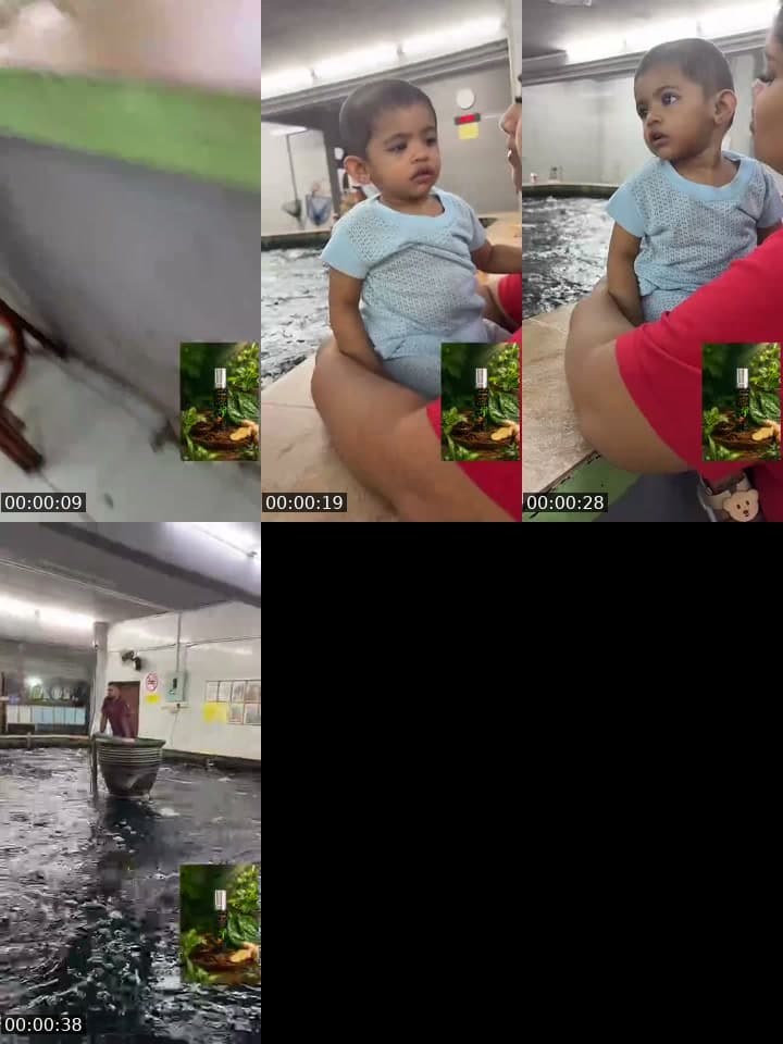@vina41096 TikTok live stream